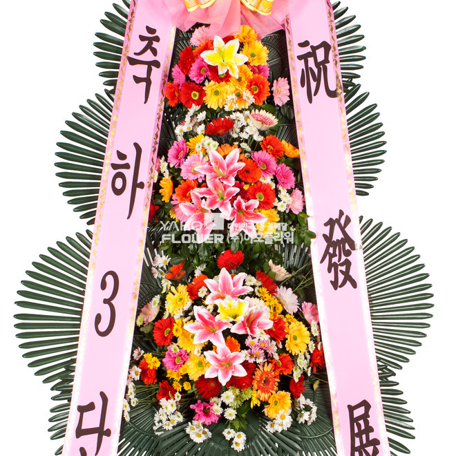 축하3단 기본