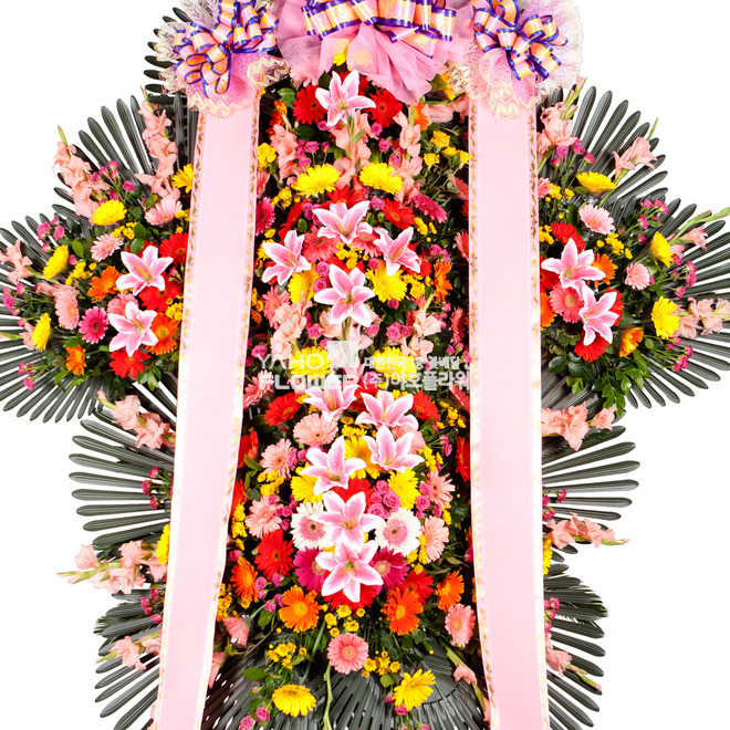 축하5단 화환