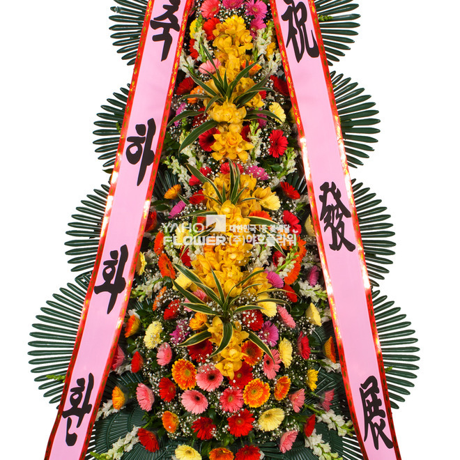 축하40