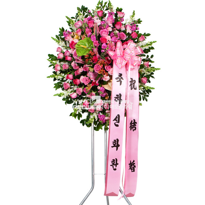 축하합니다0700