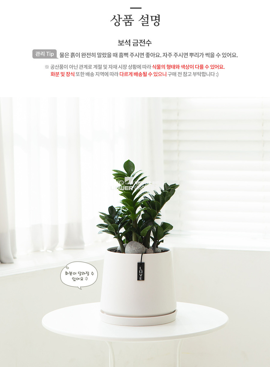 상세이미지