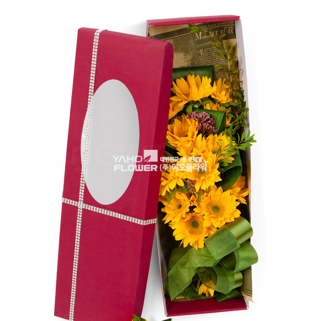 해바라기꽃상자