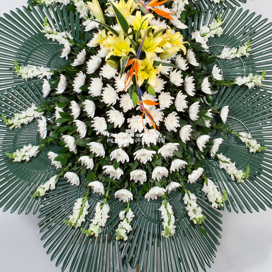 상세이미지
