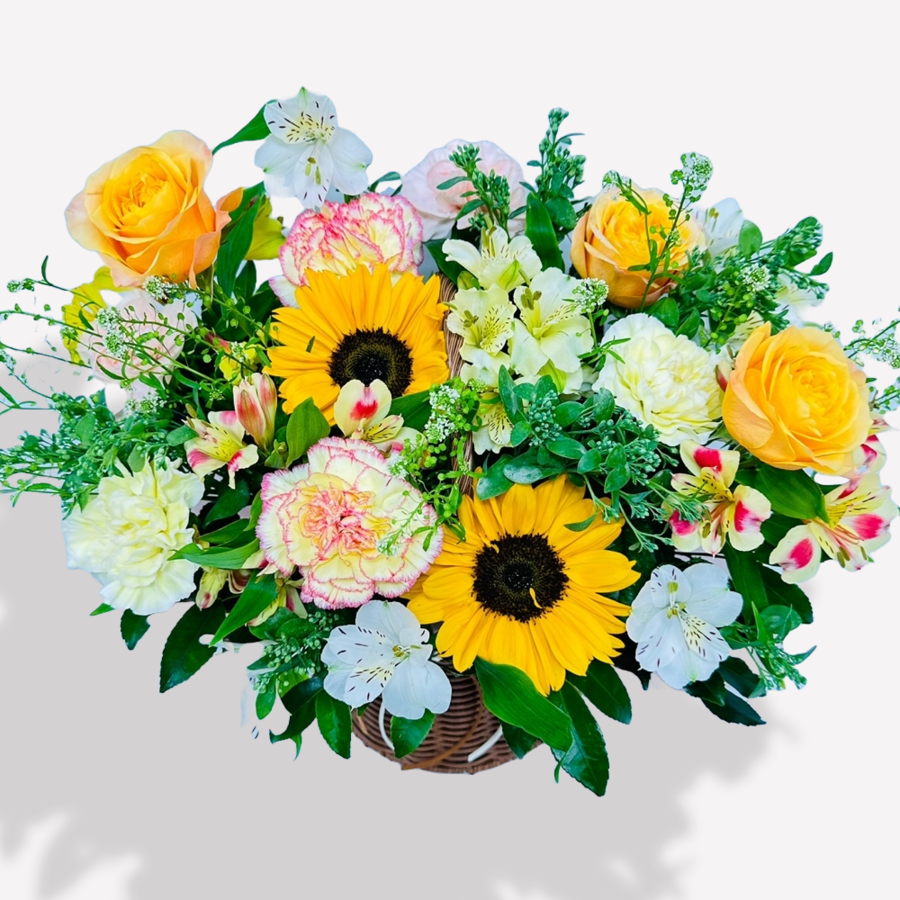 상세이미지