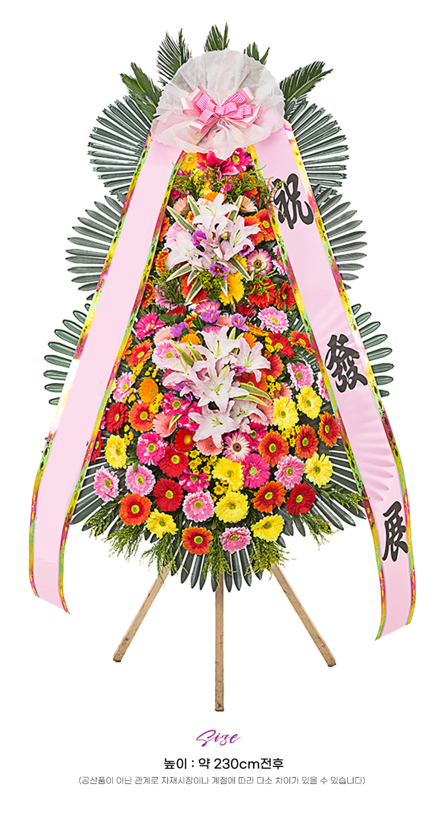 상세이미지
