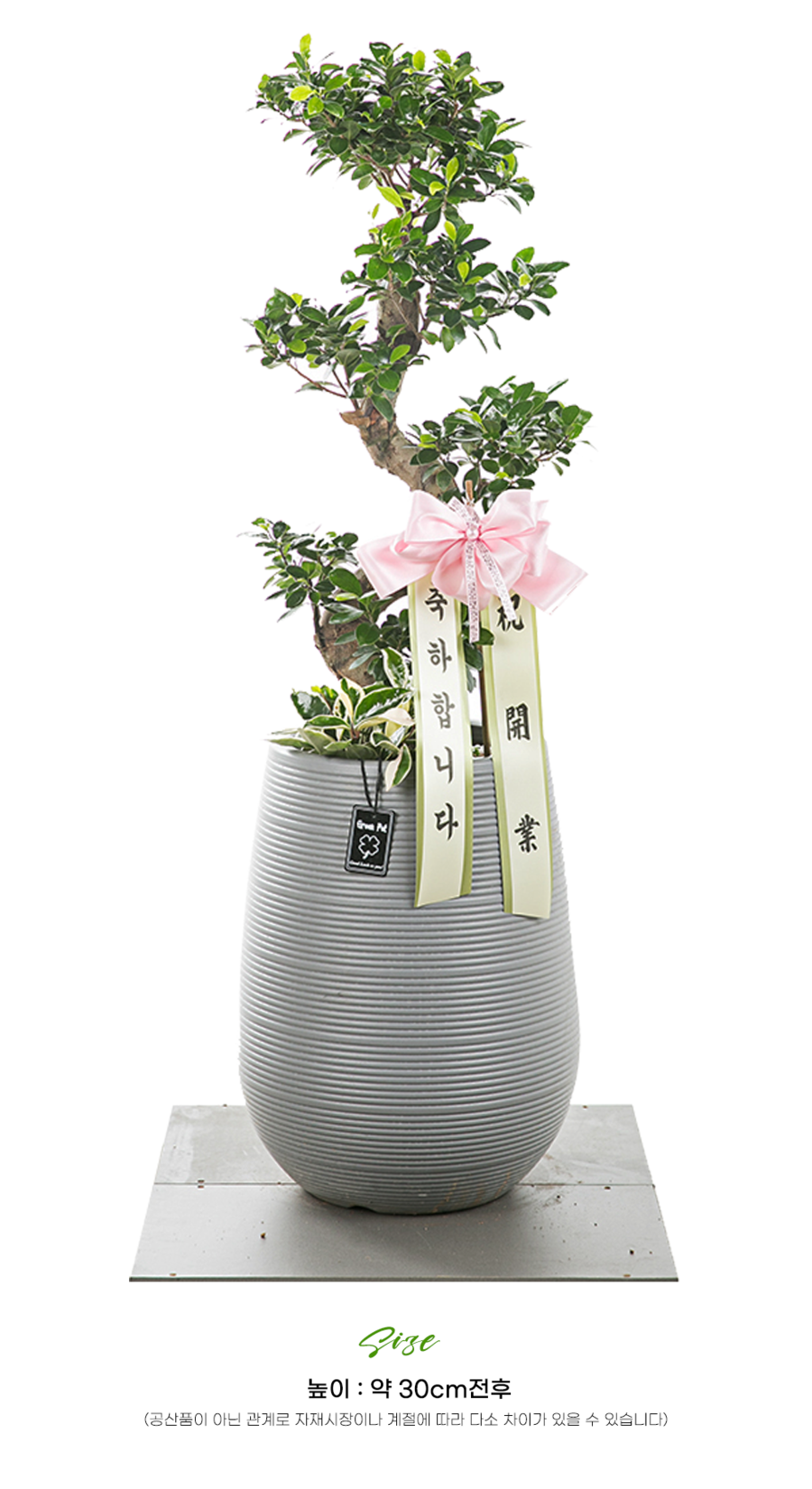 상세이미지