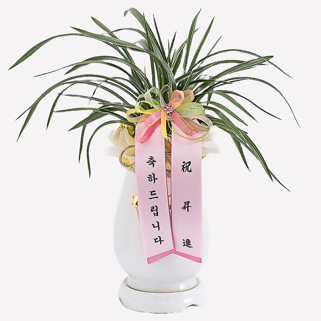 설산 동양란 승진, 취임, 영전, 축하, 전시회