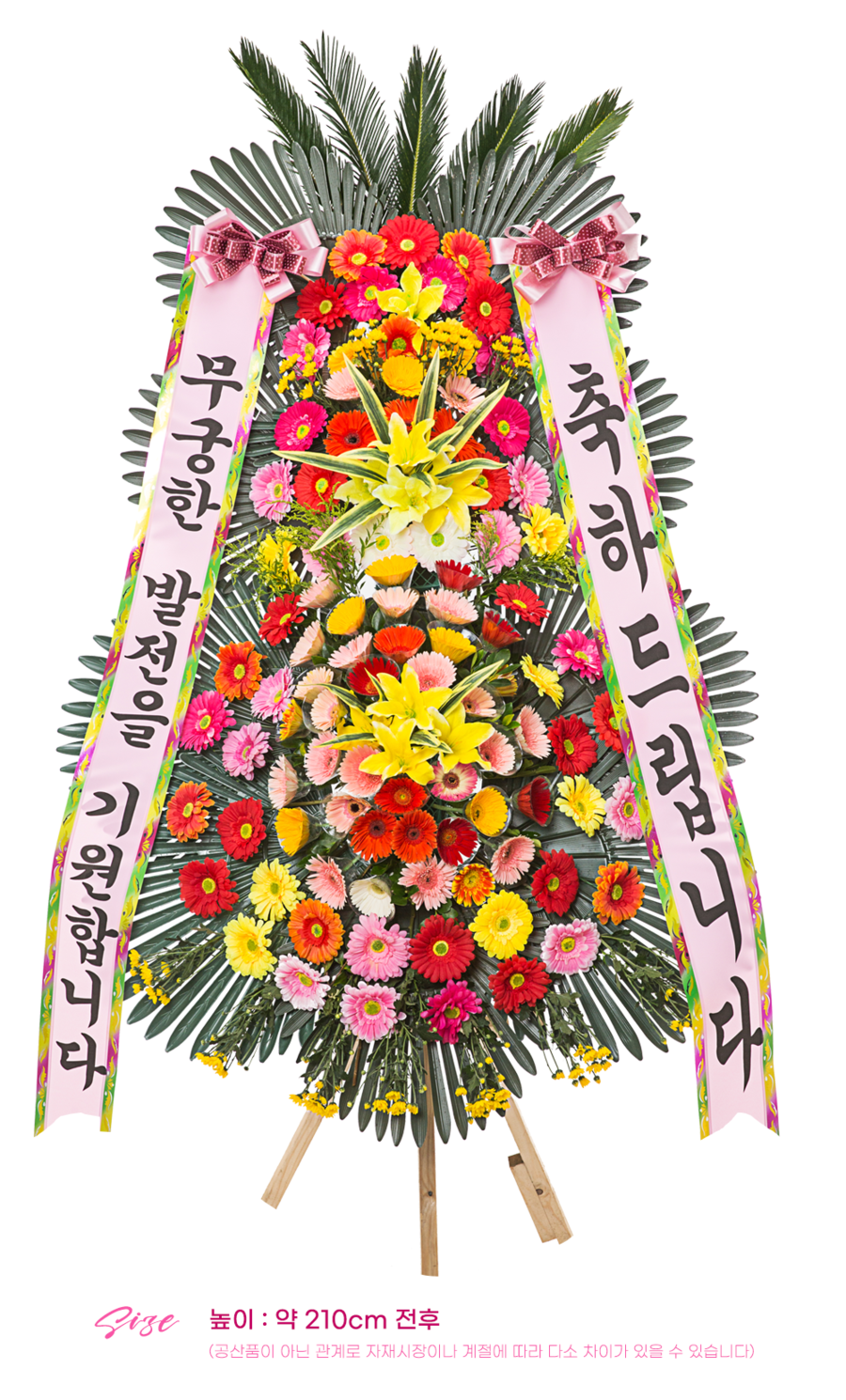 상세이미지