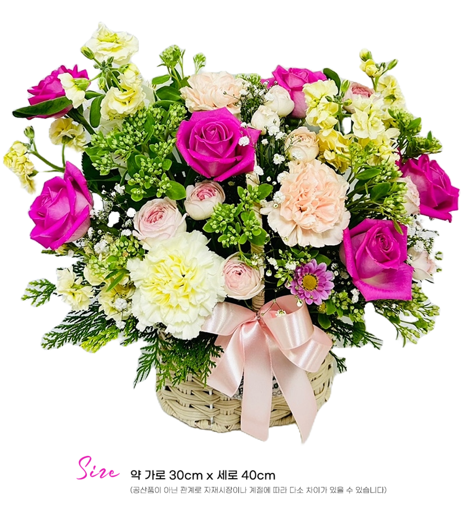 상세이미지