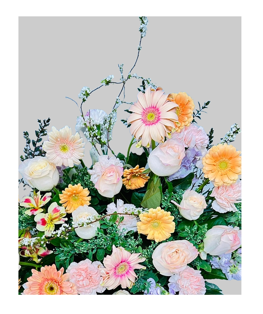 상세이미지