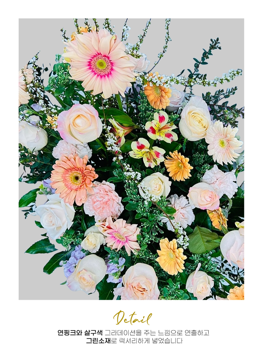 상세이미지