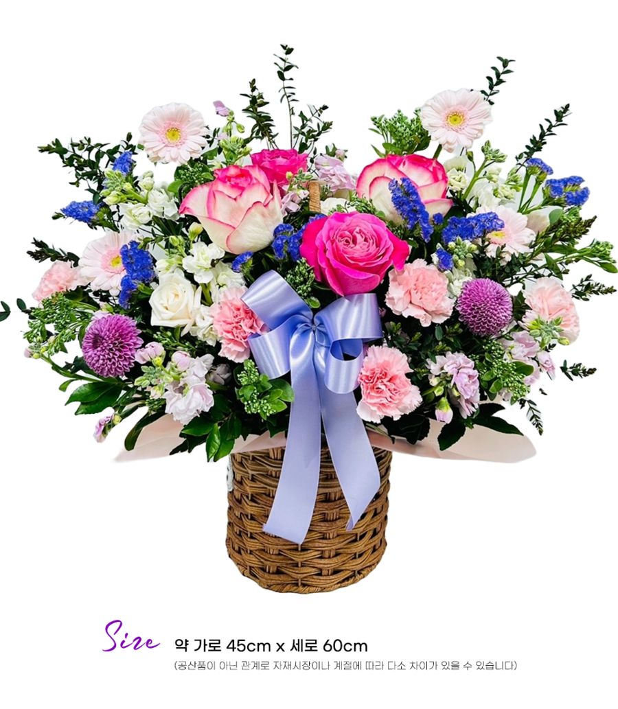 상세이미지
