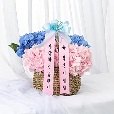 필리아 수국 꽃바구니