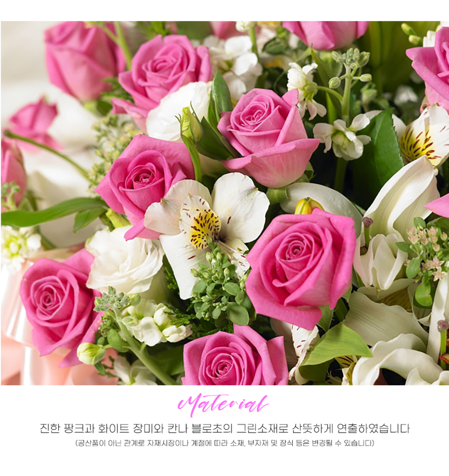 상세이미지