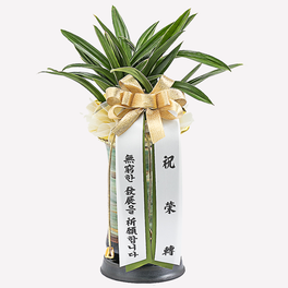 달마관 동양란 승진 취임 영전 축하 생신 개업