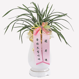 설산 동양란 승진, 취임, 영전, 축하, 전시회