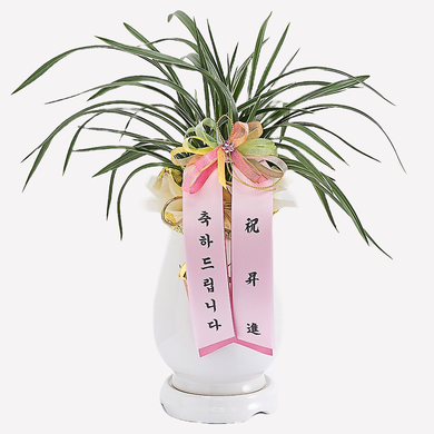 설산 동양란 승진, 취임, 영전, 축하, 전시회