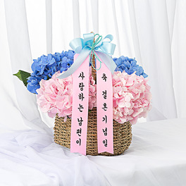 필리아 수국 꽃바구니