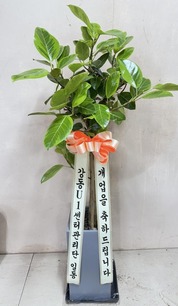 조현*(이세한) 님 앞으로 배송된 상품입니다.